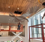 2021- “Soar” (AKA-Eddie the Eagle)