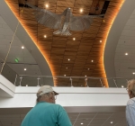 2021- “Soar” (AKA-Eddie the Eagle)