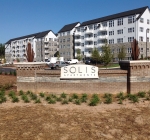 2020 Sweet Everlasting - Signature Sculpture for Terwilliger Pappas Development at Solis Alston, Cary, NC Corten Steel -  Ht. 12’