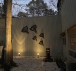 2022- “Five Rays”