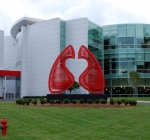 2012 - Heart and Lungs