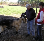 Gwen, Jesse and Bill at Celebrity Dairy