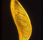 Yellow Leaf